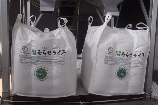 Este año se venderán alrededor de 400 mil toneladas de arroz con certificación de bajas emisiones en mercados internacionales, siendo Japón el principal destino. (Foto: VNA)