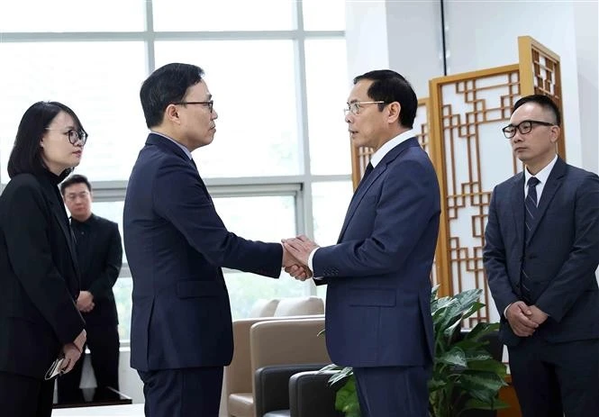 El viceprimer ministro y canciller de Vietnam, Bui Thanh Son, (segundo a la derecha) expresa sus condolencias al embajador de Corea del Sur, Choi Youngsam. (Fuente: VNA)