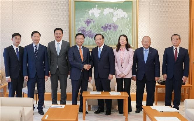 El vicepremier vietnamita Le Thanh Long (cuarto desde la izquierda) se reúne con el presidente de la Cámara de Representantes de Japón, Nukaga Fukushiro (cuarto desde la derecha). (Foto: VNA)