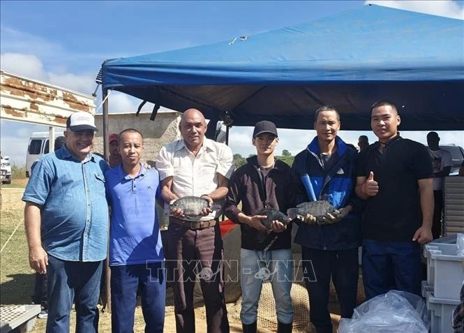 El ministro cubano de la Industria Alimentaria, Alberto López Díaz (tercero desde la izquierda), y expertos vietnamitas celebran la exitosa cooperación. (Foto: VNA)