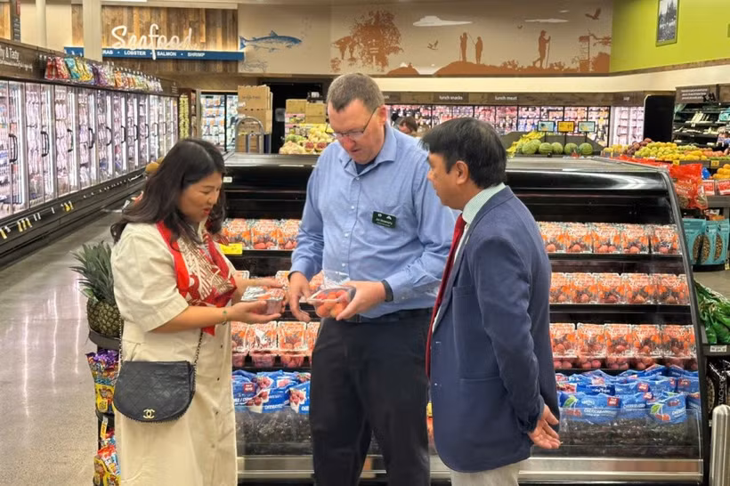 El lichi vietnamita llega a cadenas minoristas de gran escala como Safeway y Costco. (Fuente: Revista de Industria y Comercio)