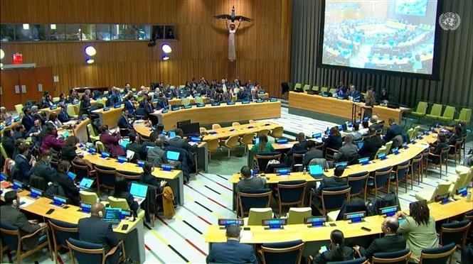 Panorama de la tercera reunión de los Estados Partes en el Tratado sobre la Prohibición de las Armas Nucleares (Foto: VNA)
