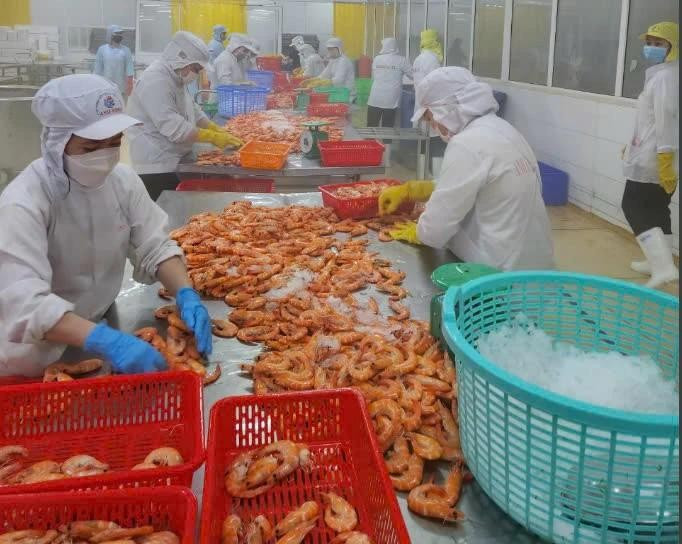 Standard Chartered pronostica un crecimiento económico positivo para Vietnam. (Foto: Vietnam+) 