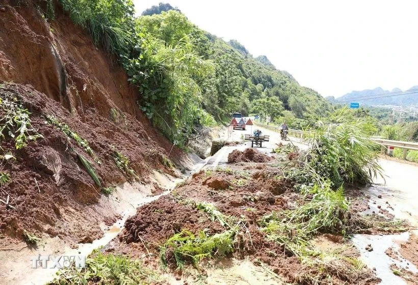 Las fuertes lluvias provocan deslizamientos de tierra, causando problemas de seguridad vial en la Carretera Nacional 4D, el tramo que limita con la ciudad de Lai Chau y el distrito de Phong Tho. (Foto: VNA)