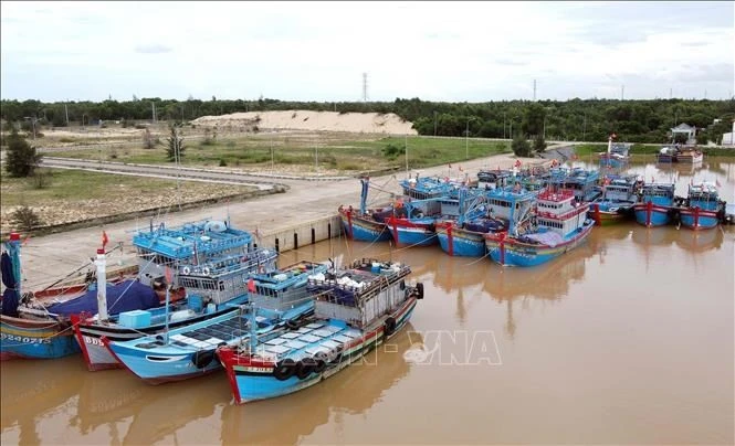 Barcos pesqueros instalados con equipos de monitoreo de viaje en la provincia central de Quang Binh. (Foto: VNA)