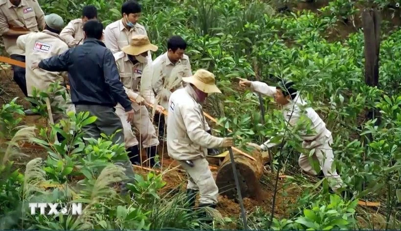 El personal de Mine Advisory Group (MAG) manipula las bombas remanantes de la guerra en la provincia vietnamita de Quang Binh. (Foto: VNA)