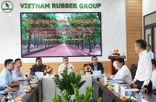 La sesión de trabajo entre el embajador de Vietnam en Camboya, Nguyen Minh Vu, y líderes y empleados de tres empresas de caucho: Ba Ria Kampong Thom, Phuoc Hoa Kampong Thom y Tan Bien Kampong Thom. (Foto: VNA)