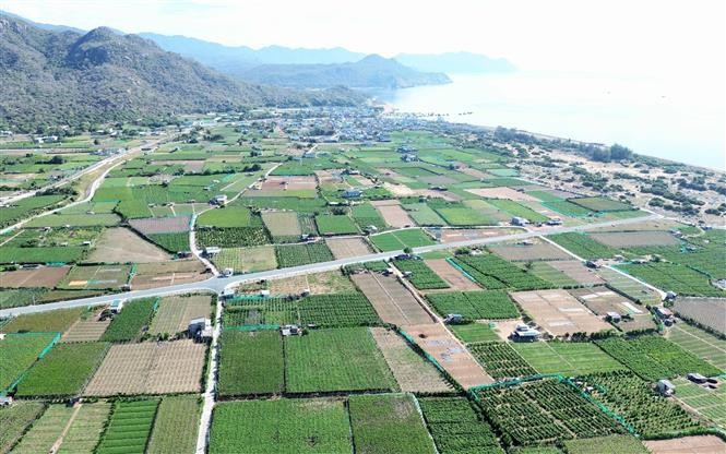 El proyecto de la planta de energía nuclear Ninh Thuan 2 se construirá en la aldea de Thai An, comuna de Vinh Hai, distrito de Ninh Hai. (Foto: VNA)