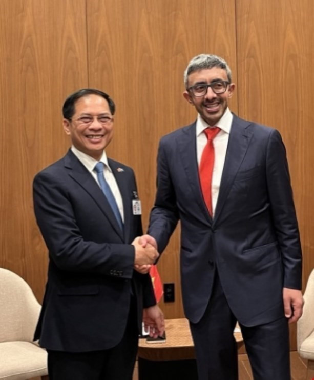 El viceprimer ministro vietnamita Bui Thanh Son se reúne con el vicepremier y ministro de Relaciones Exteriores de Emiratos Árabes Unidos (EAU), Sheikh Abdullah bin Zayed Al Nahyan. (Foto: VNA)