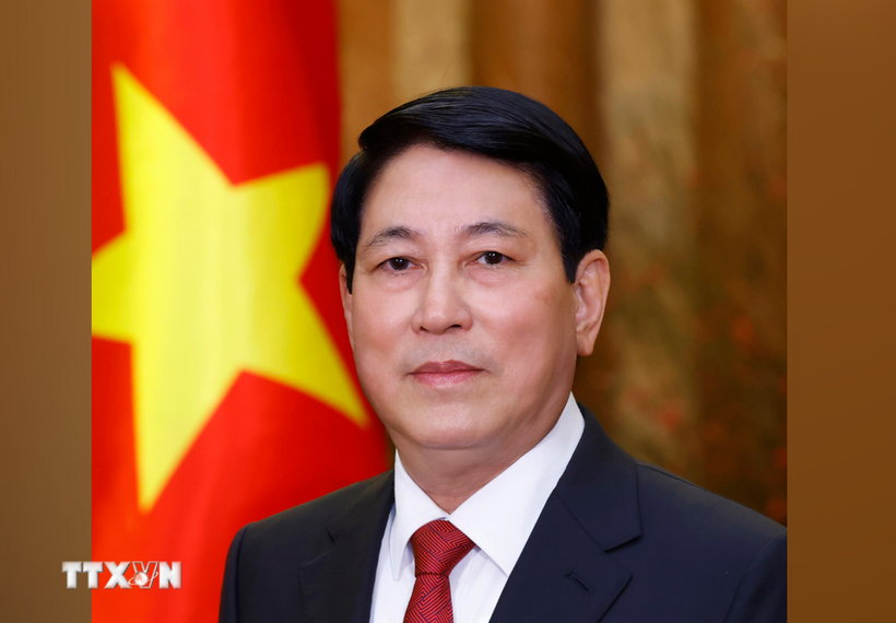 El presidente de Vietnam, Luong Cuong (Foto: VNA)