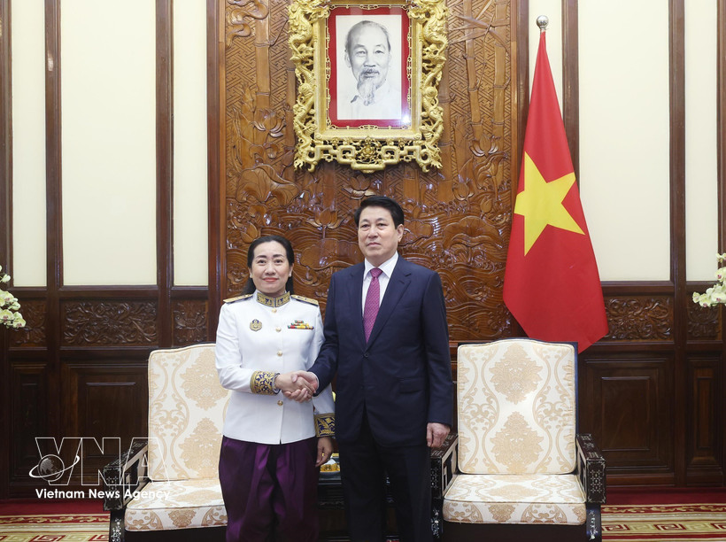 El presidente de Vietnam, Luong Cuong, recibe a la embajadora de Camboya, Touch Pharat. (Foto: VNA) 