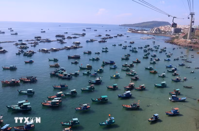 Provincias vietnamitas refuerzan la lucha contra la pesca ilegal