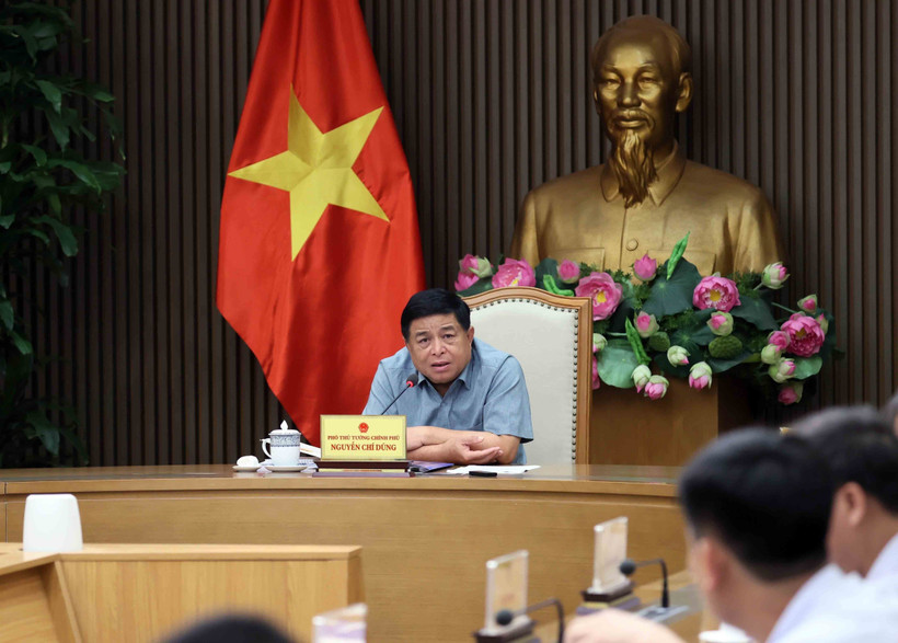 El viceprimer ministro Nguyen Chi Dung habla en la reunión (Foto: VNA)