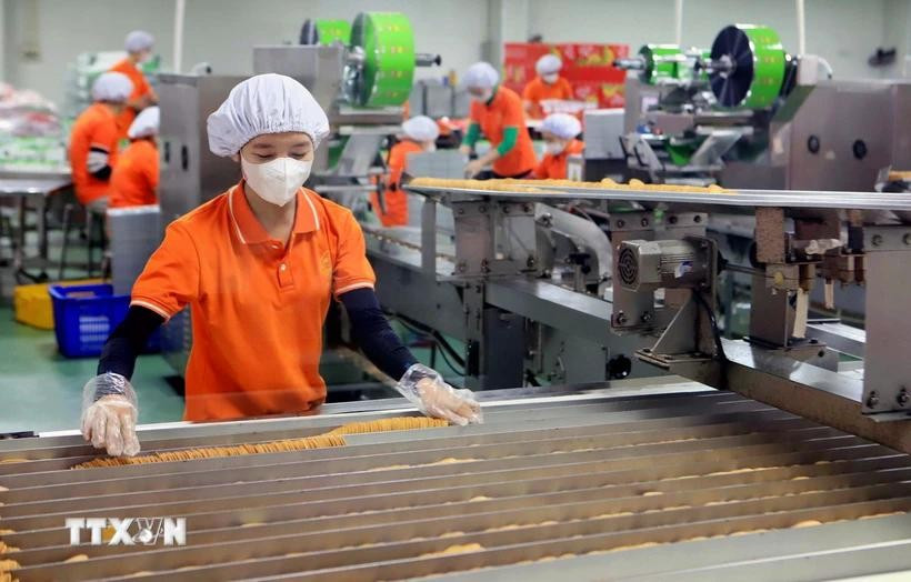 La economía privada está bajo grandes expectativas para impulsar y desarrollarse, llevando la economía del país hacia una nueva era de fortaleza. (Foto: VNA)