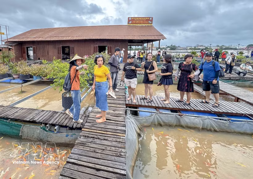 Un guía turístico acompaña a un grupo de visitantes durante un recorrido por la piscifactoría flotante Bay Bon, en el islote de Con Son, en la ciudad de Can Tho. (Foto: VNA)