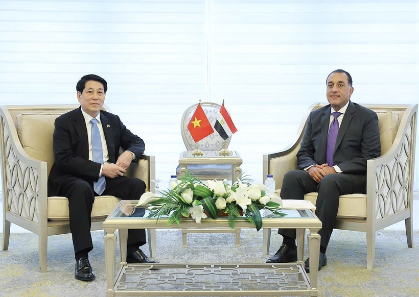 El presidente de Vietnam, Luong Cuong, (izquierda) se reúne con el primer ministro de Egipto, Mostafa Madbouly. (Foto: VNA)