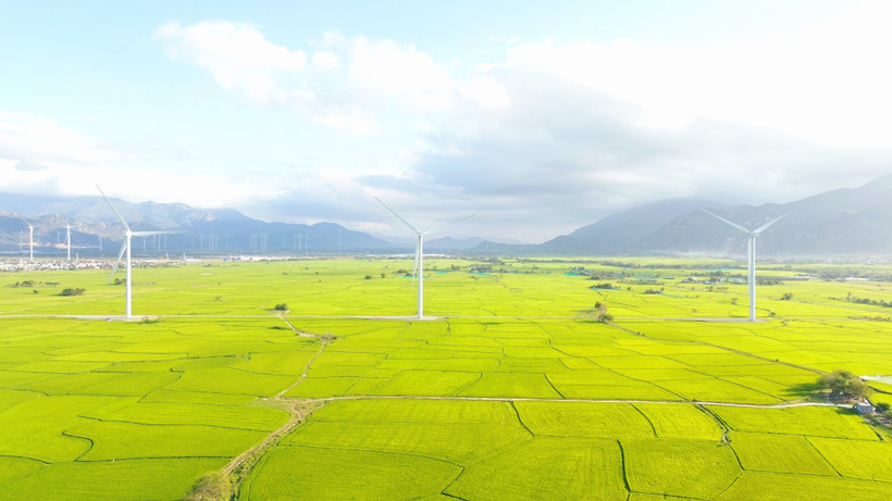 Una central de energía eólica en la provincia de Khanh Hoa. (Foto: VNA)