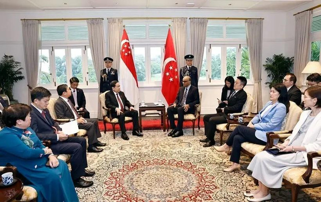 El presidente de la Asamblea Nacional de Vietnam, Tran Thanh Man, en el encuentro con el presidente de Singapur, Tharman Shanmugaratnam. (Fuente: VNA) viet-nam-singapore-1-487.jpg.webp