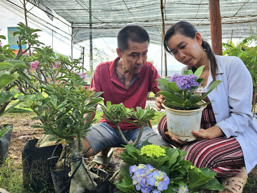 Una pareja residente en la aldea de Tan Thien, comuna de Tan Thanh Binh, provincia de Ben Tre, ha desarrollado su negocio de producción de macetas ornamentales y bonsáis mediante créditos basados ​​en políticas. Foto: VNA