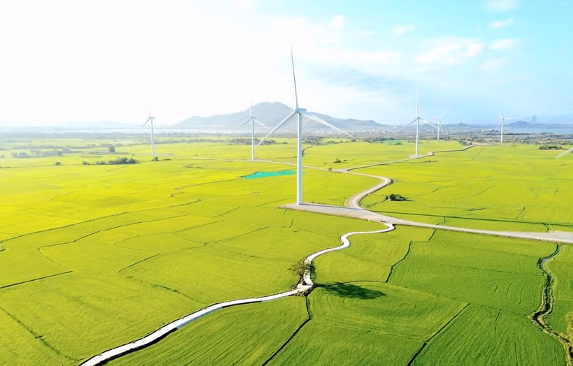El campo de energía eólica en Dam Nai, Ninh Thuan (ahora Khanh Hoa). Foto: VNA
