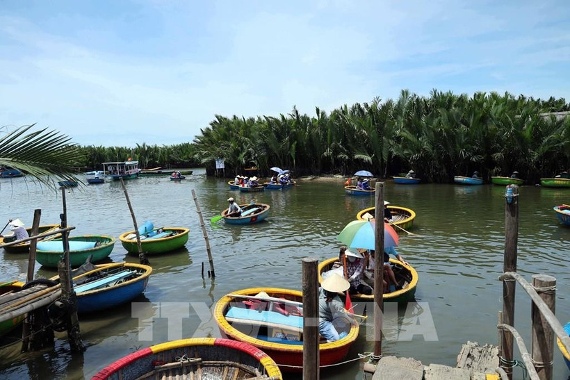 Coloridos barcos cesta transportan turistas a visitar el bosque de cocoteros de Da Nang. (Foto: VNA)
