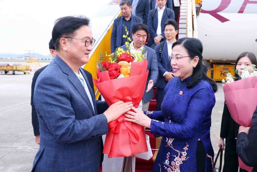 Nguyen Thanh Hai, jefa de la Comisión de Ciencia, Tecnología y Medio Ambiente de la Asamblea Nacional y presidenta del Grupo de Parlamentarios de Amistad Vietnam –Corea del Sur, recibe al presidente de la Asamblea Nacional de Corea del Sur, Woo Won Shik, en el aeropuerto internacional de Noi Bai. (Foto: VNA)