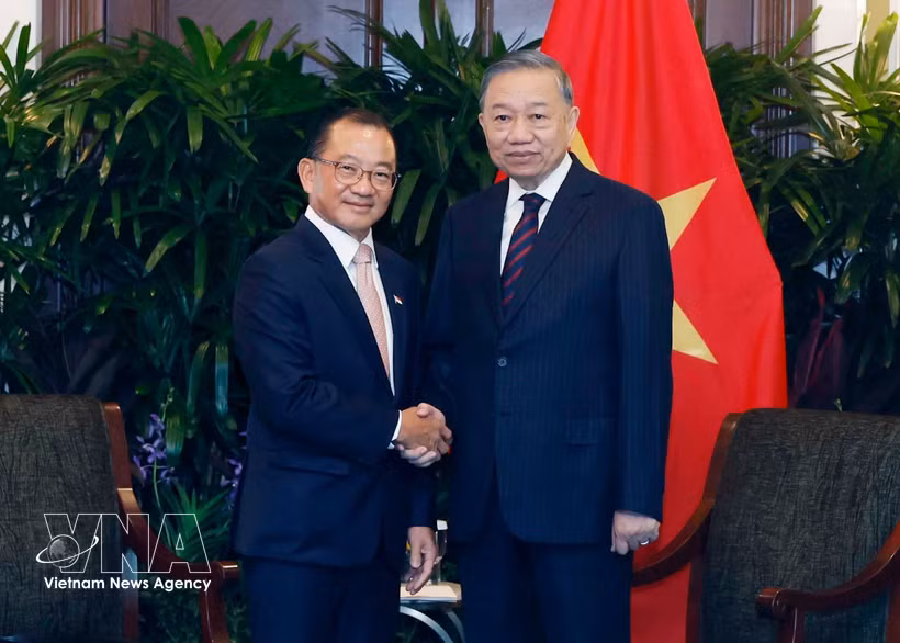 El secretario general del Partido Comunista y presidente de Vietnam, To Lam, sostiene un encuentro con el presidente del Parlamento de Singapur, Seah Kian Peng. Foto: VNA