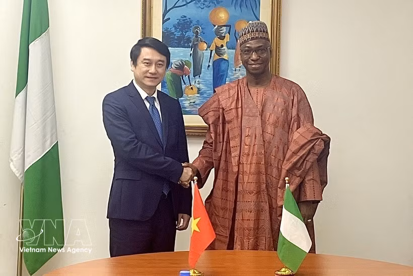 El viceministro de Relaciones Exteriores, Le Anh Tuan, sostiene conversaciones con su homólogo de Nigeria, Dunoma Umar Ahmed. Foto: VNA
