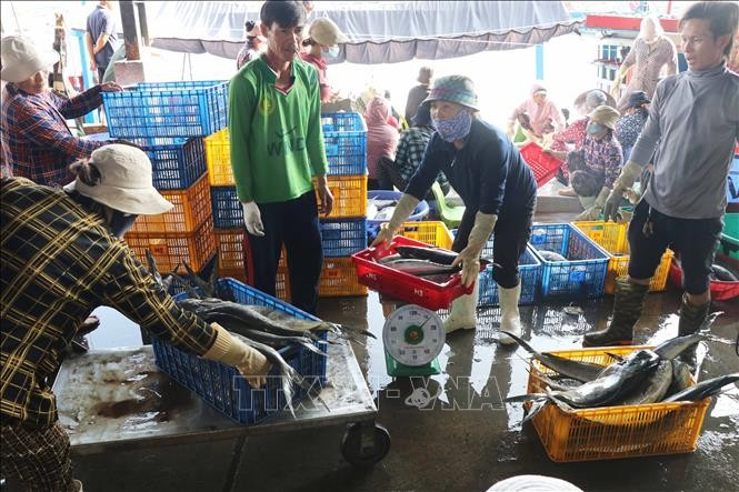 Comerciantes compran peces en el puerto de Hon Ro. (Foto: VNA)