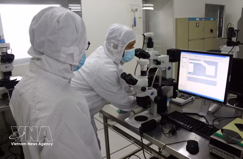 Investigación científica en el Centro de I+D del Parque de Alta Tecnología de Ciudad Ho Chi Minh. (Foto: VNA)