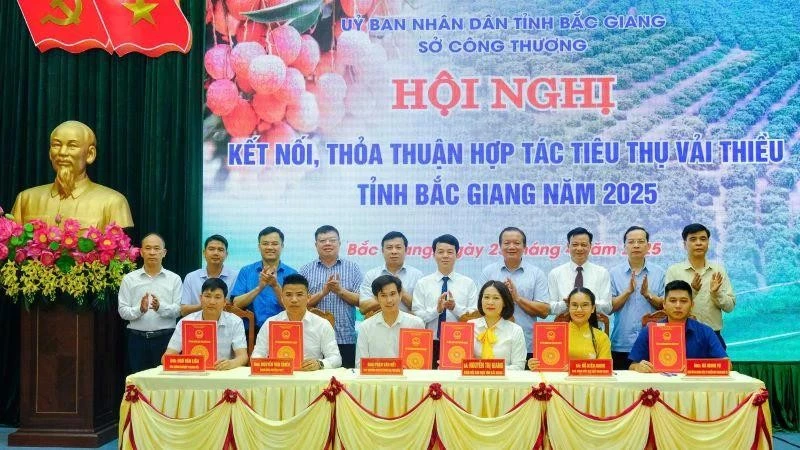 Firma de acuerdo de cooperación sobre el consumo de lichi de Bac Giang 2025. (Fuente: nhandan.com)
