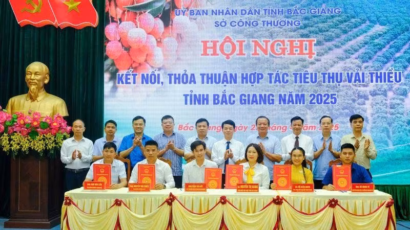 Firma de acuerdo de cooperación sobre el consumo de lichi de Bac Giang 2025. (Fuente: nhandan.com)