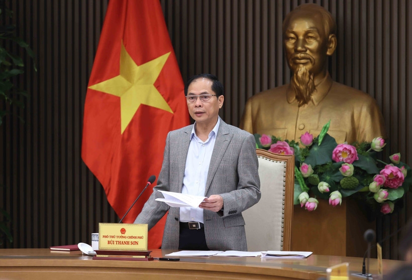 El viceprimer ministro de Vietnam Bui Thanh Son habla en la reunión. (Fuente: VNA)