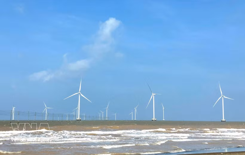 La provincia de Vinh Long ha puesto en funcionamiento 13 parques eólicos con una capacidad total de 572 MW. Foto: VNA