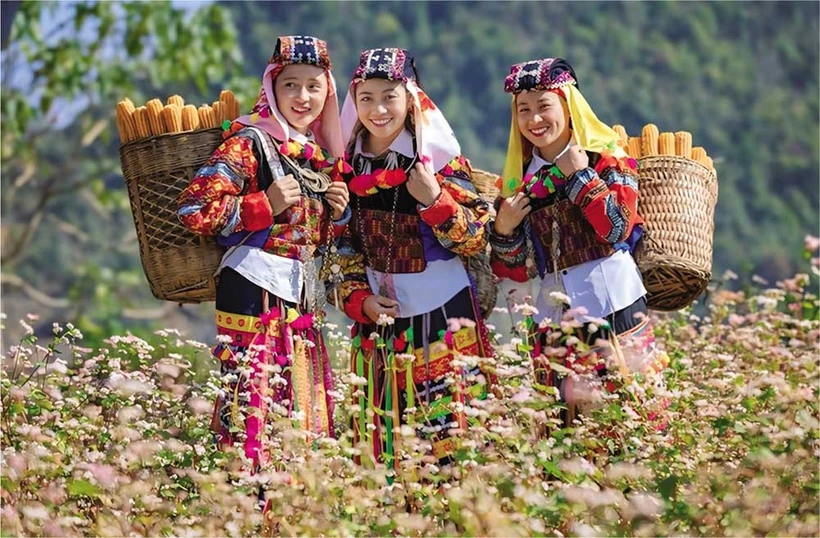 El turismo ha traído muchos cambios a la vida de las minorías étnicas en Ha Giang. (Foto: baodautu.vn)