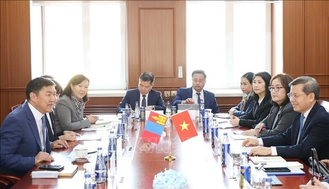 La delegación de alto nivel del Tribunal Supremo Popular de Vietnam sostiene conversaciones con la delegación del Tribunal Supremo de Mongolia. (Fuente: VNA)