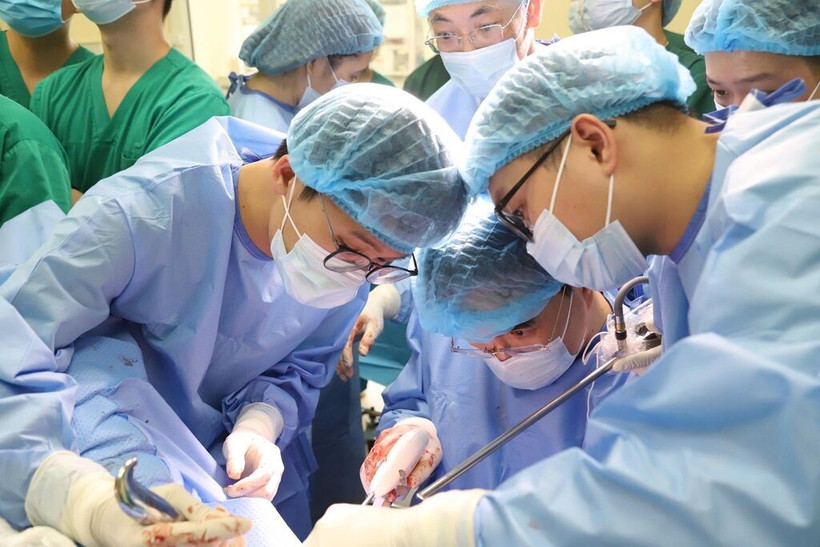 Los médicos realizaron una demostración quirúrgica en vivo. (Fuente: VNA)