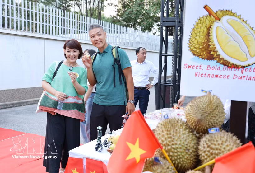 El durian vietnamita se está promocionando en Beiijng. (Foto: VNA)