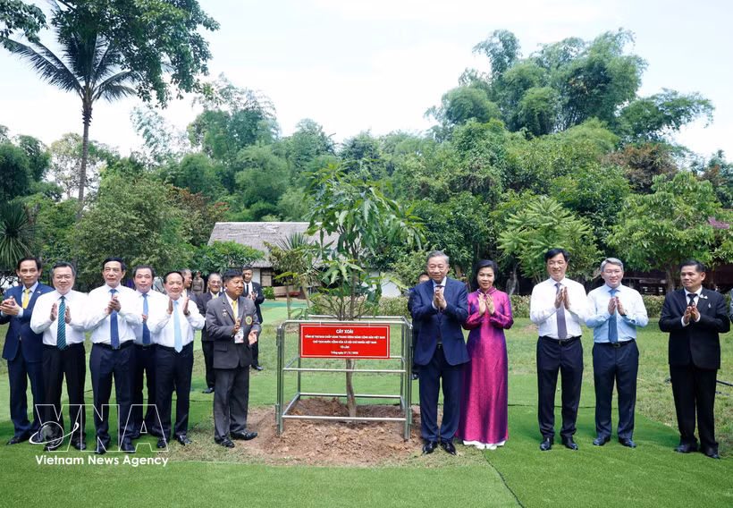 El secretario general del Partido Comunista de Vietnam y presidente del país, To Lam, y su esposa plantan un árbol conmemorativo en los terrenos del Monumento a Ho Chi Minh en la provincia de Udon Thani (Tailandia). (Foto: VNA)