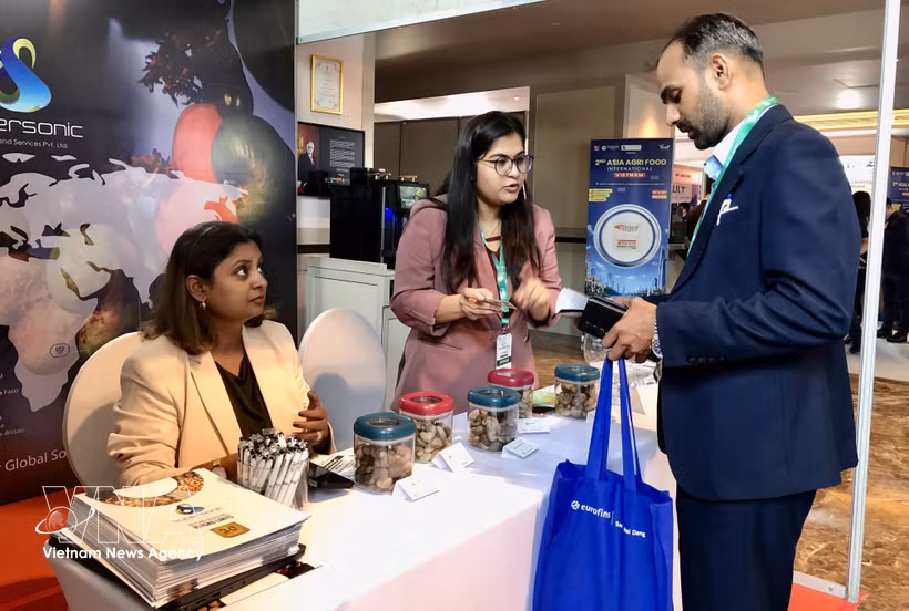 Empresas establecen contactos comerciales en los pabellones de exhibición. (Foto: VNA)