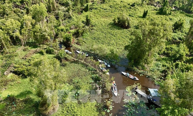 La base de datos forestales se completará a finales de este año, adaptándose al Reglamento de Deforestación de la UE (Foto: VNA)