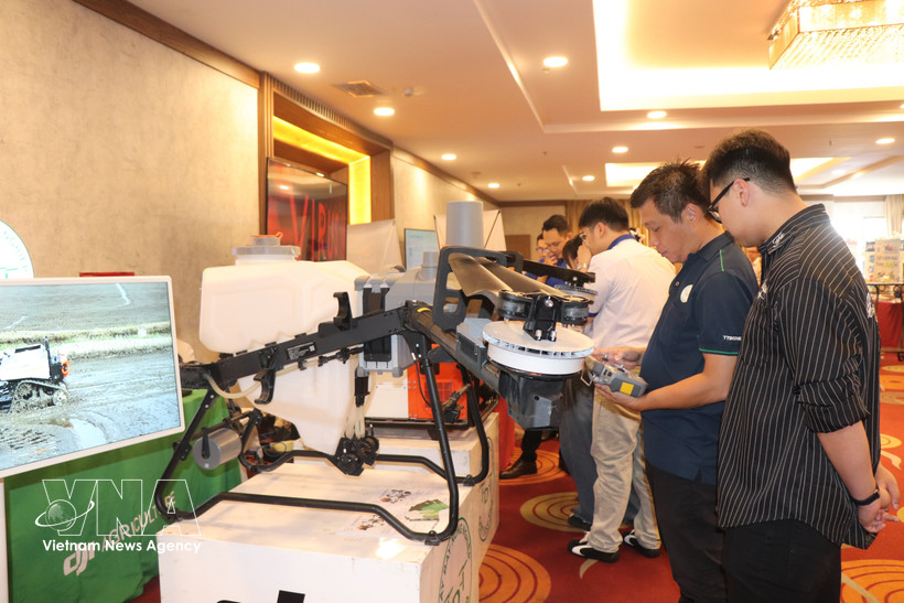 La ciudad de Can Tho garantiza que al menos el 1% de su presupuesto total se destine a ciencia, tecnología e innovación. (Foto: VNA)