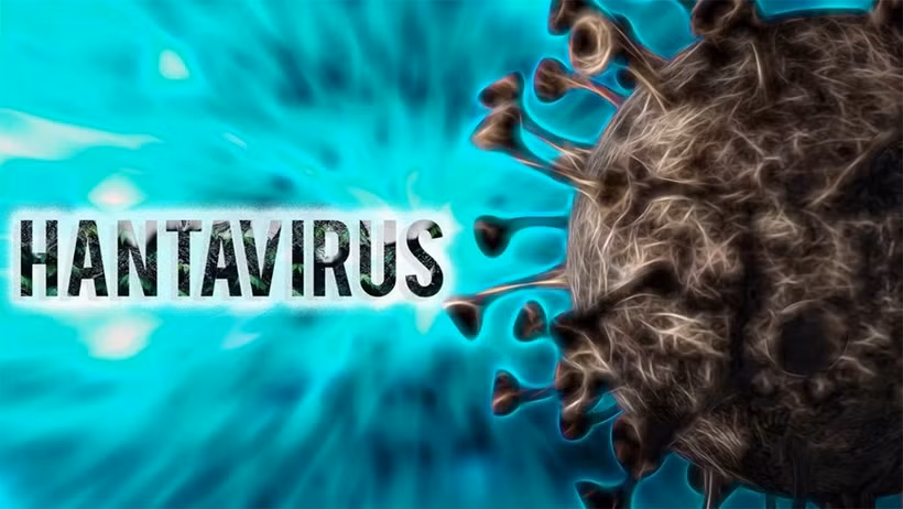 El hantavirus es un grupo peligroso de virus que pueden causar enfermedades graves en los seres humanos. (Imagen ilustrativa de tienphong.vn)