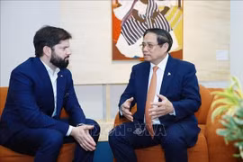 El primer ministro Pham Minh Chinh (der.) se reúne con el presidente chileno Gabriel Boric Font en Río de Janeiro (Foto: VNA)
