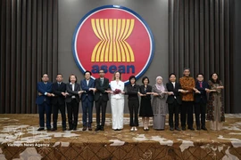 Delegados asisten a la 5.ª reunión del Comité Conjunto de Cooperación ASEAN-Reino Unido. (Foto: VNA)