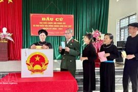 Los votantes vietnamitas emiten sus votos (Foto: VNA)