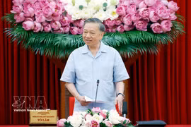El secretario general del Partido Comunista de Vietnam y presidente del Estado, To Lam, interviene en la reunión (Foto: VNA)