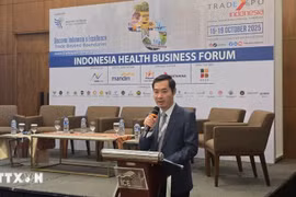 Nguyen Phuc Nam, subdirector del Departamento de Desarrollo de Mercados Internacionales del Ministerio de Industria y Comercio, intervino en el foro. (Foto: VNA)