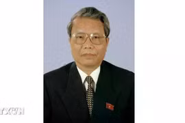 El exmiembro del Buró Político del Comité Central del Partido Comunista y expresidente de Vietnam, Tran Duc Luong. (Fuente: VNA)