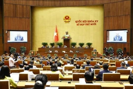 En el décimo período de sesiones de la Asamblea Nacional de Vietnam. (Fuente: VNA)